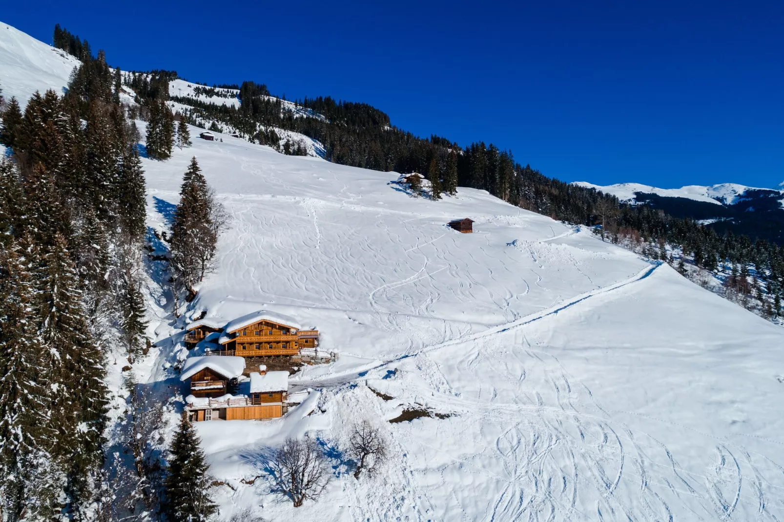 Oberholzlehen Hütte-Exterior winter