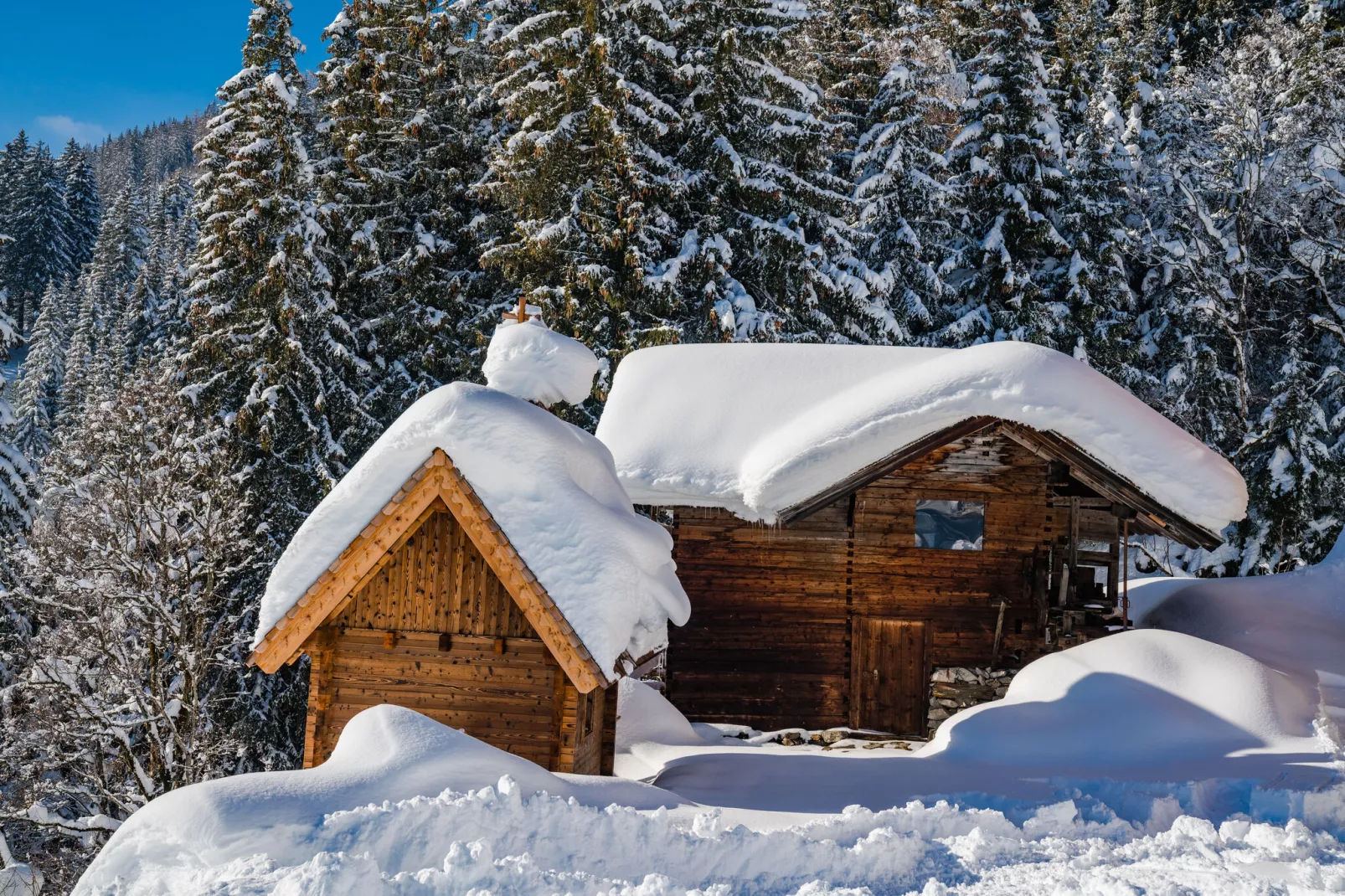 Oberholzlehen Hütte-Exterior winter