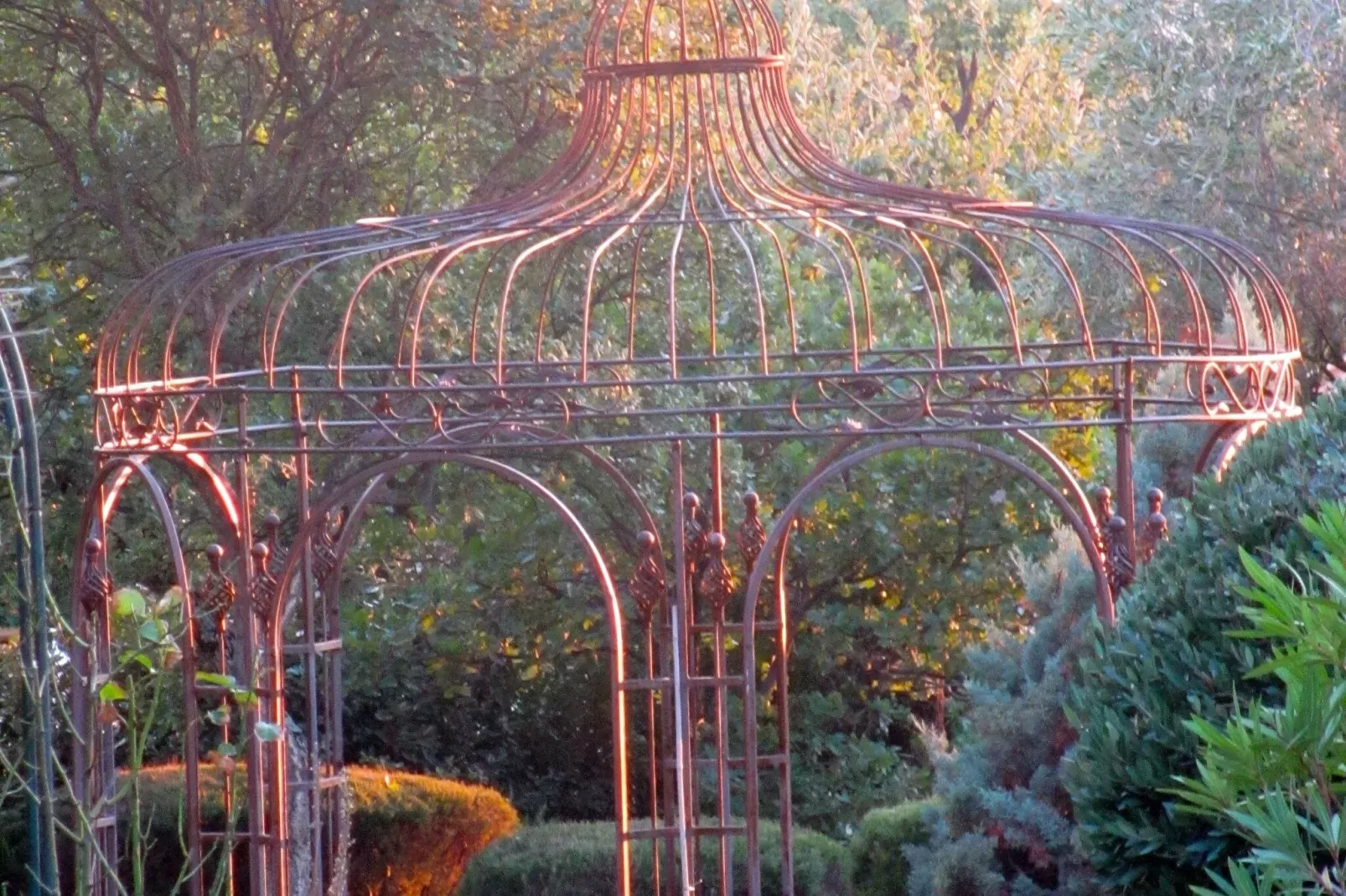 Les Lézards-Gardens summer