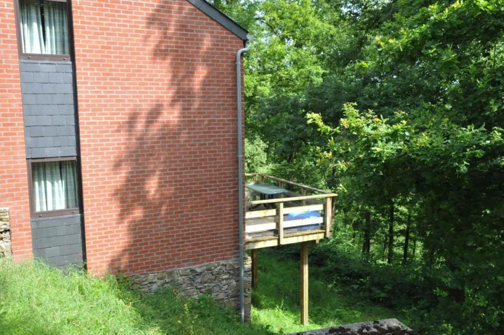 Kangourou 12-Exterior summer