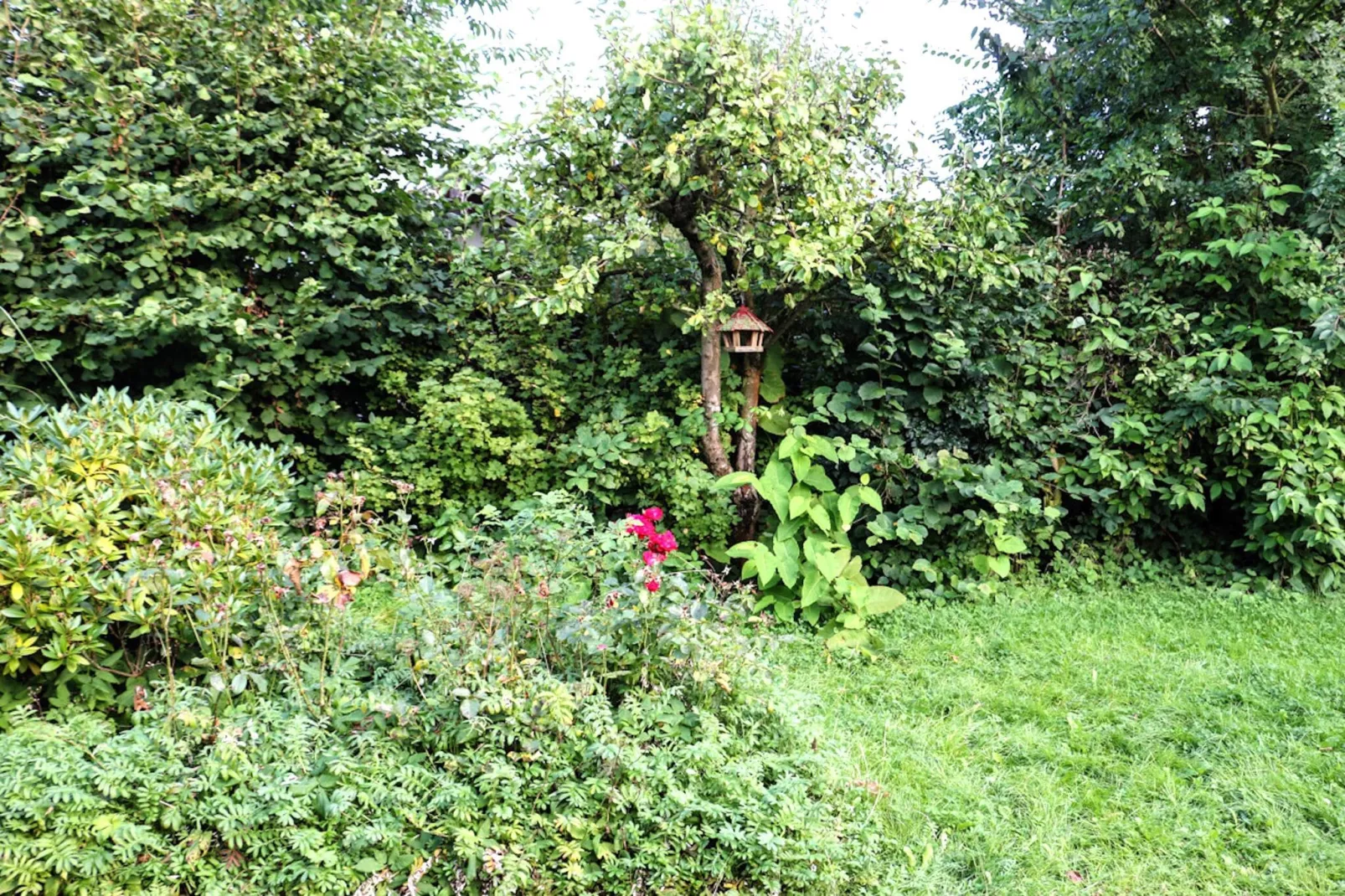 Nordsee Ferienhaus Lindner-Gardens summer