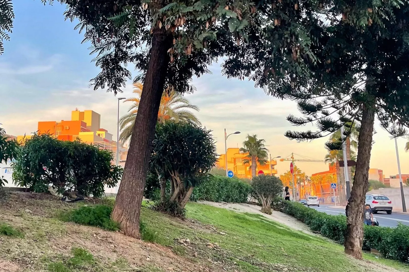 Estela de Mar II - Gardens in summer