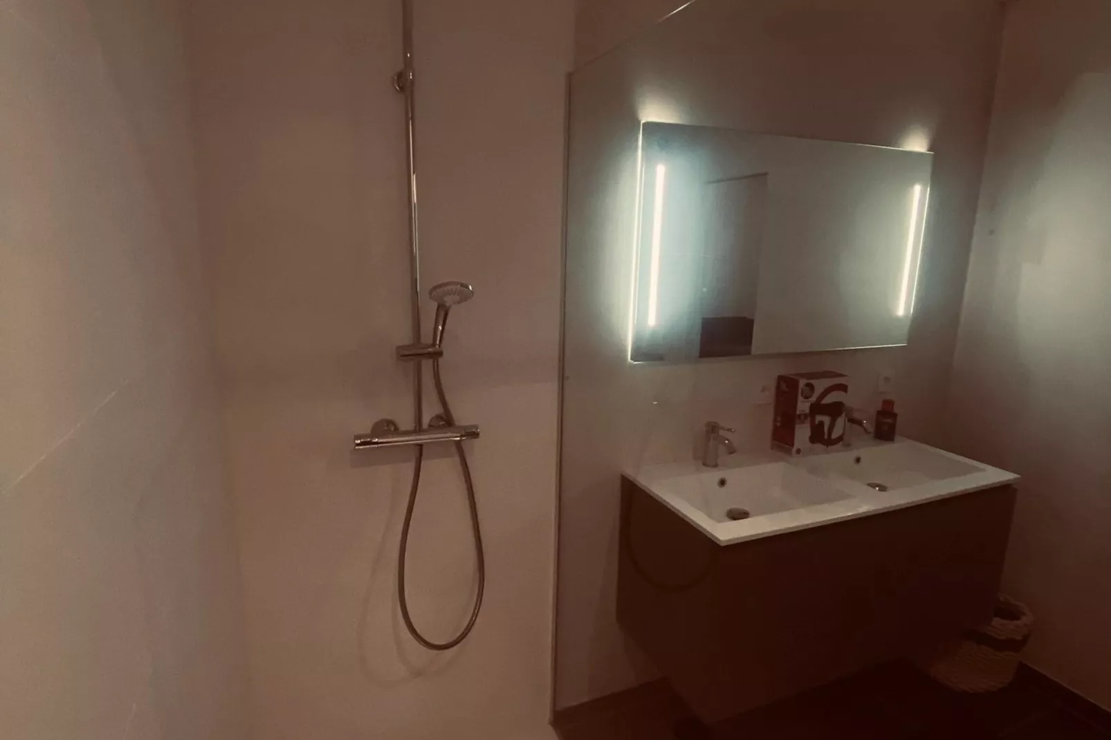 Qualis Tempus-Bathroom