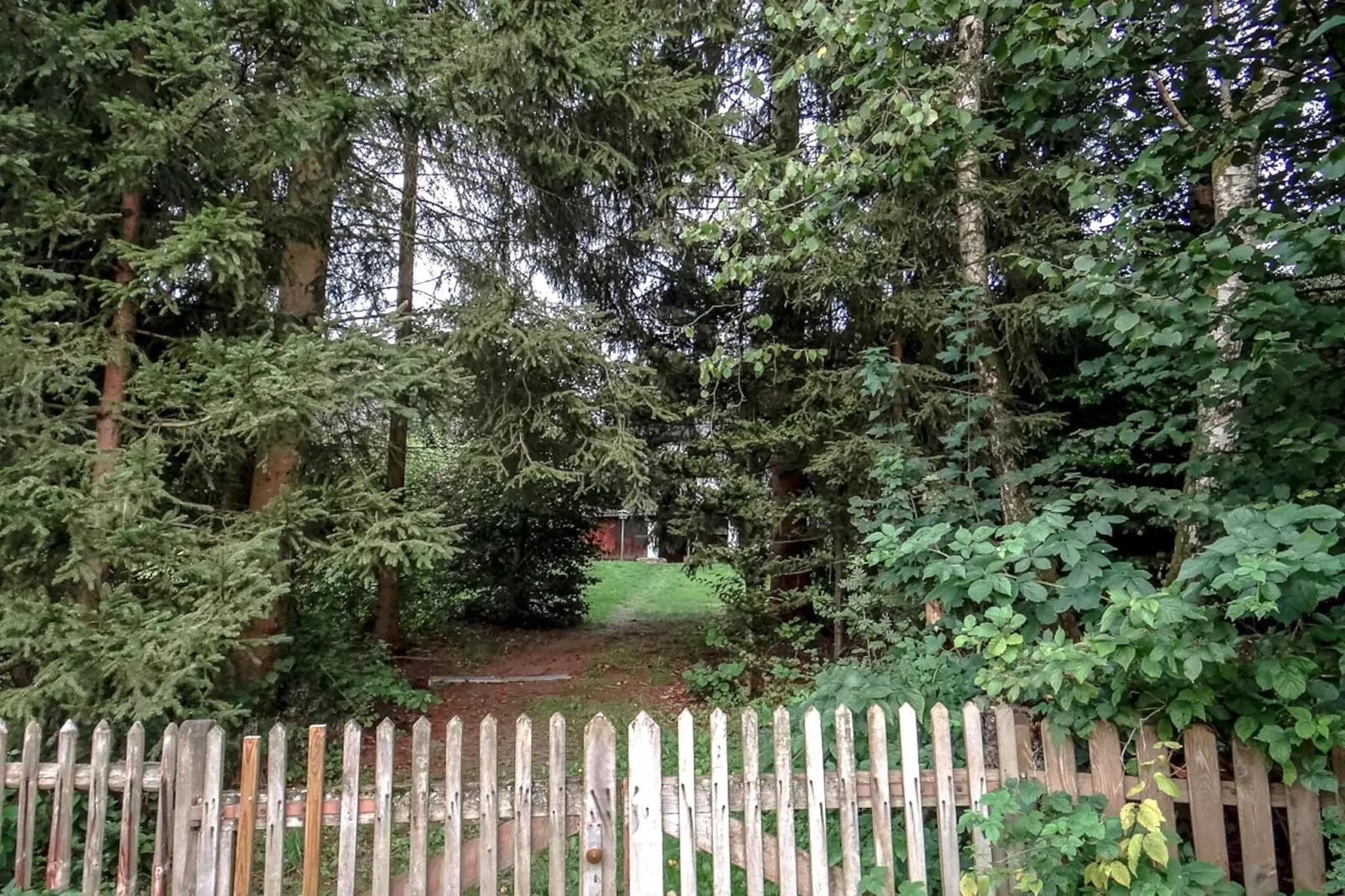 Ferienhaus Luftkurort Oberhundem-View summer