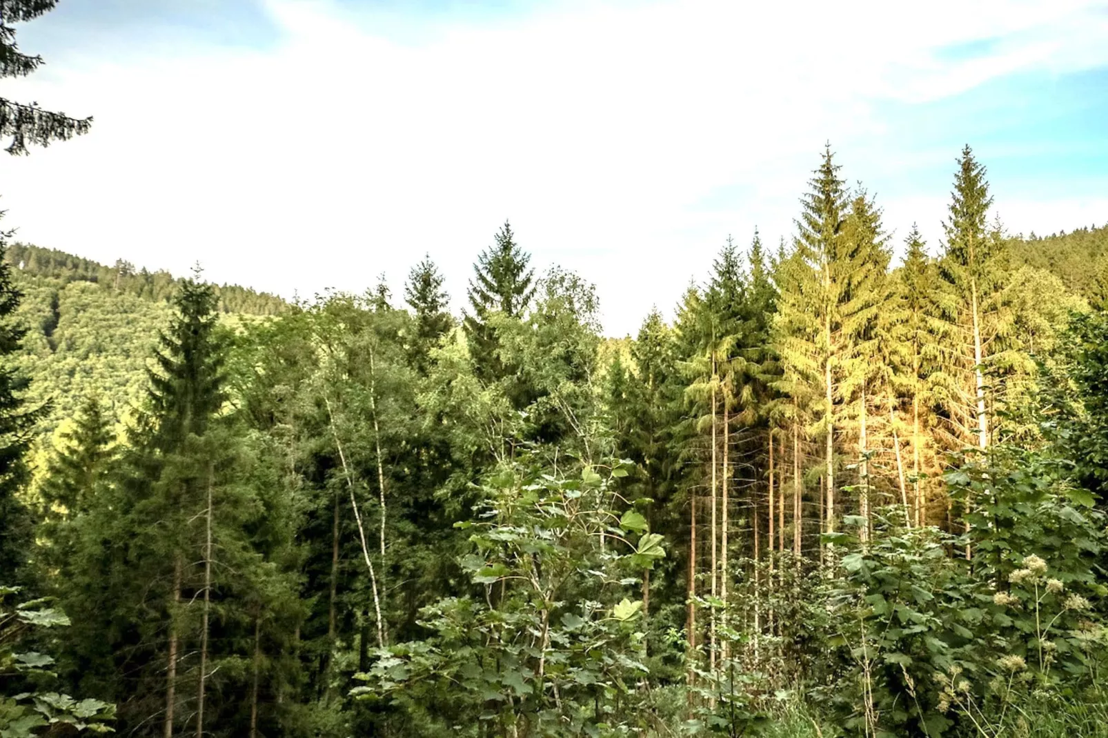 Ferienhaus Luftkurort Oberhundem-Areas summer 1km