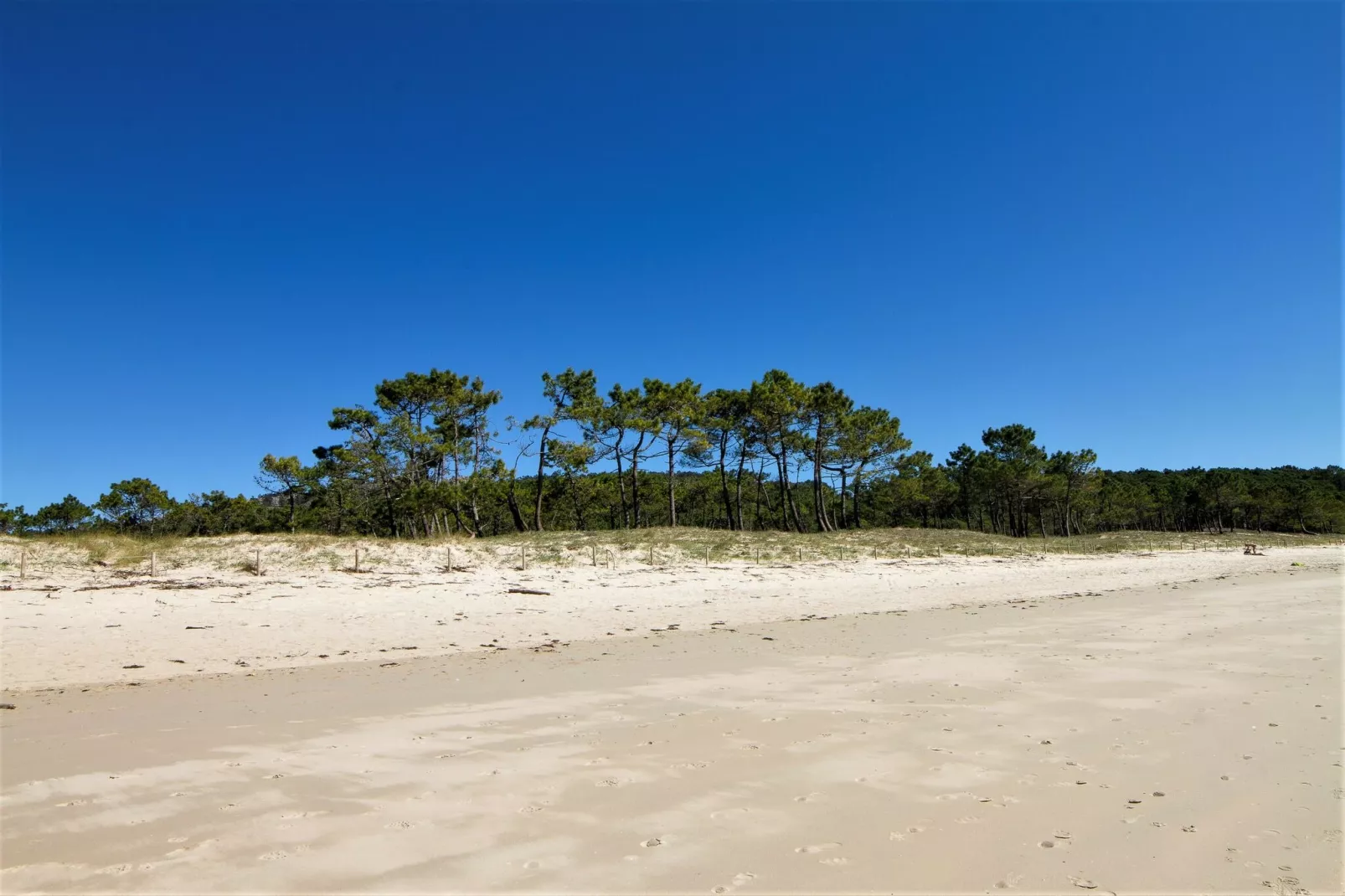 Dupplex II-Areas summer 5km