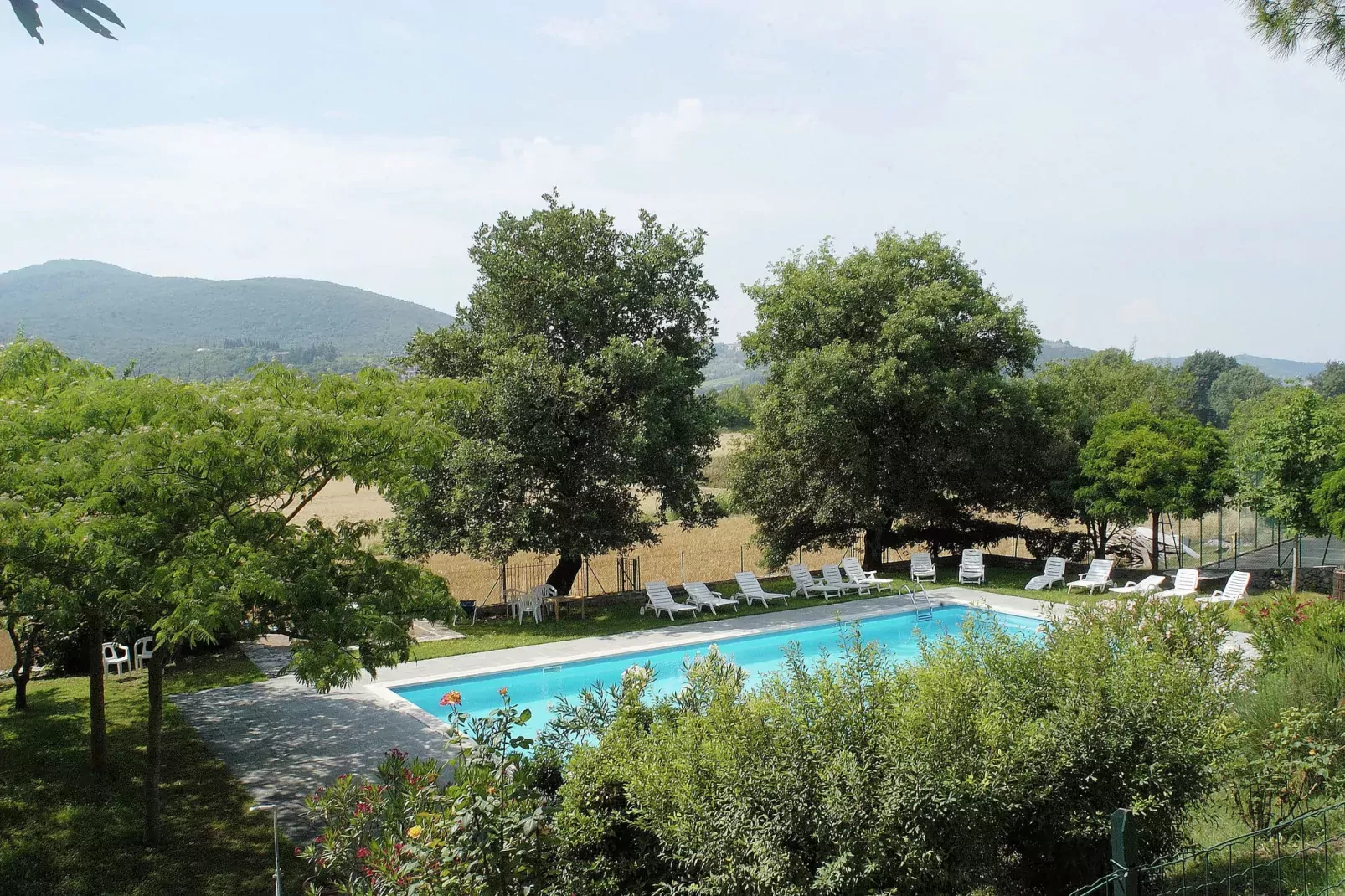 Frantoio 1-Gardens summer