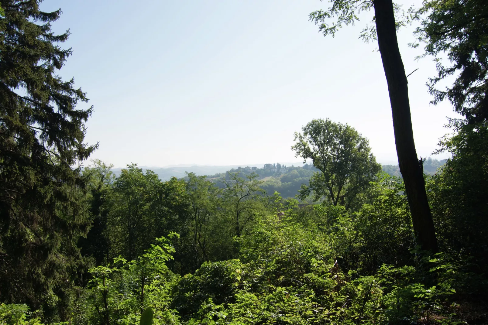 Torretta-View summer