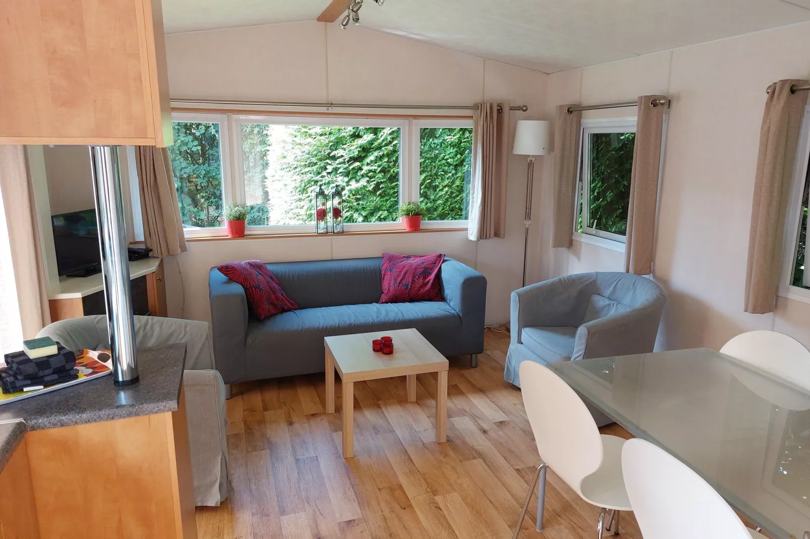 Chalet Alkenhaer nr 35-Living room