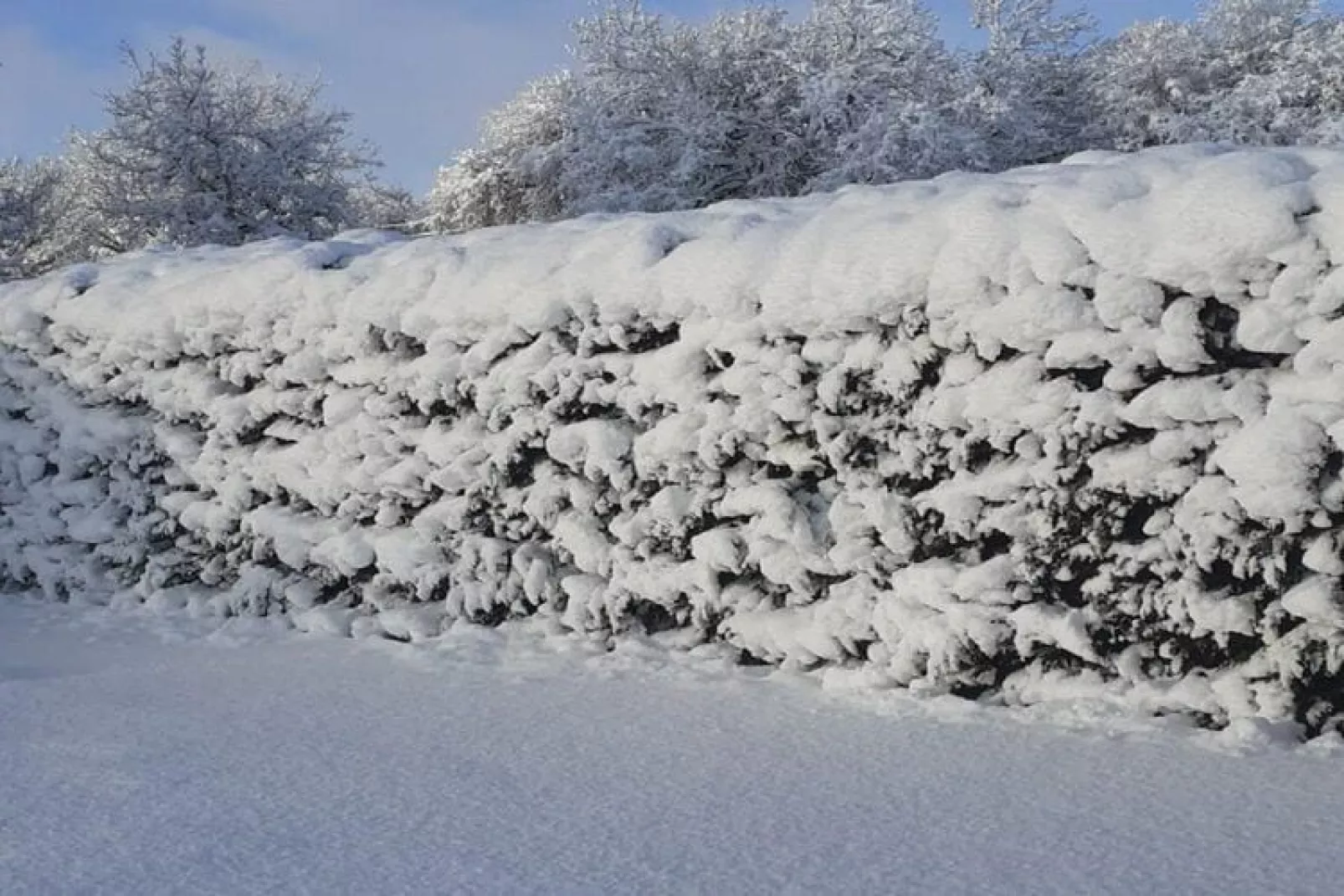 Le Place-Garden winter