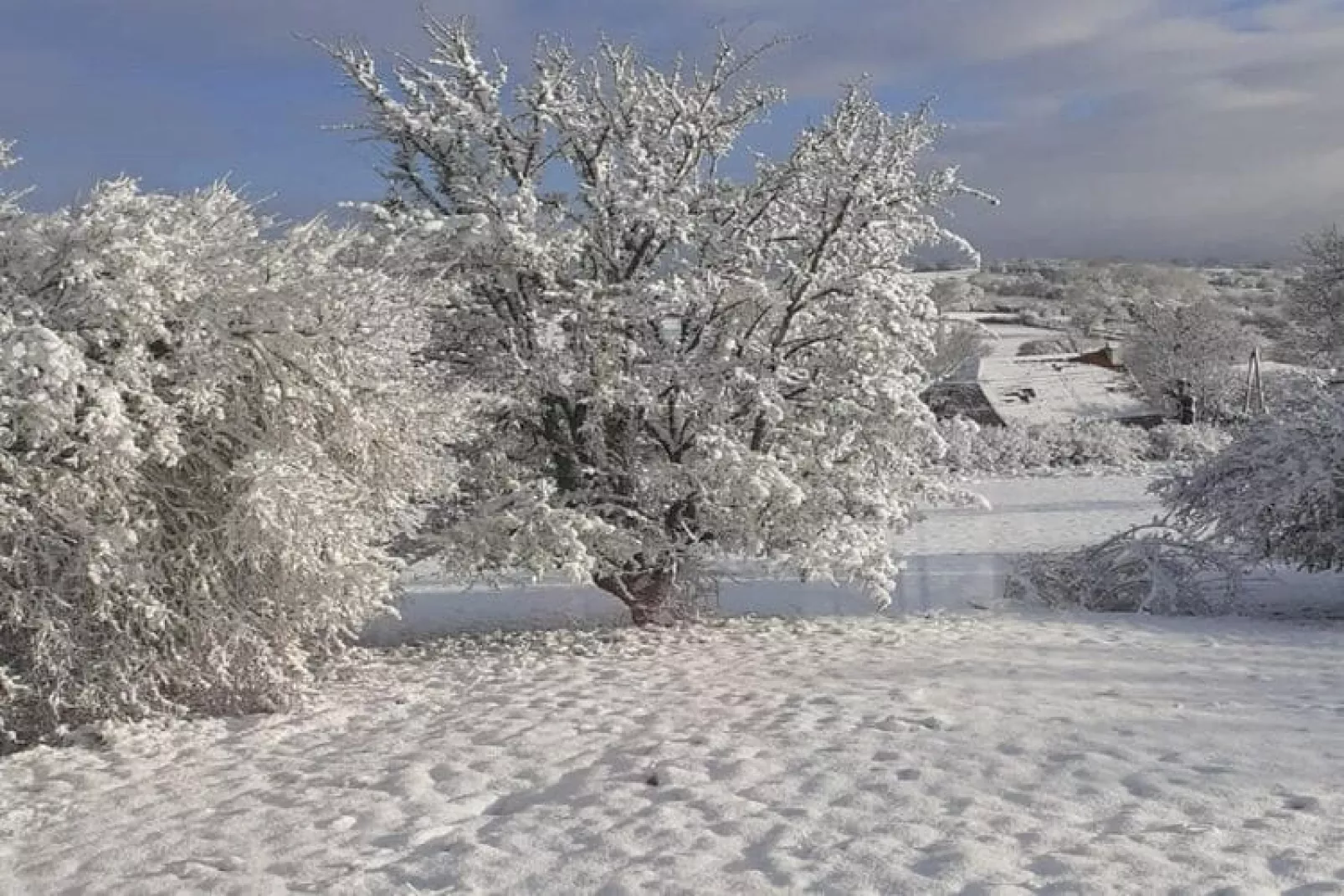Le Place-View winter