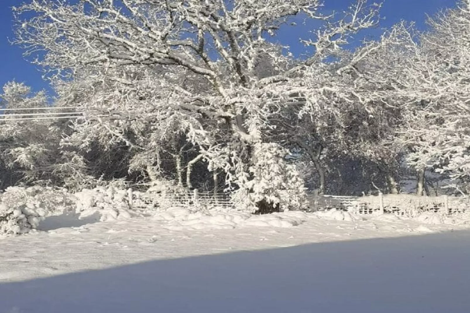 Le Place-View winter