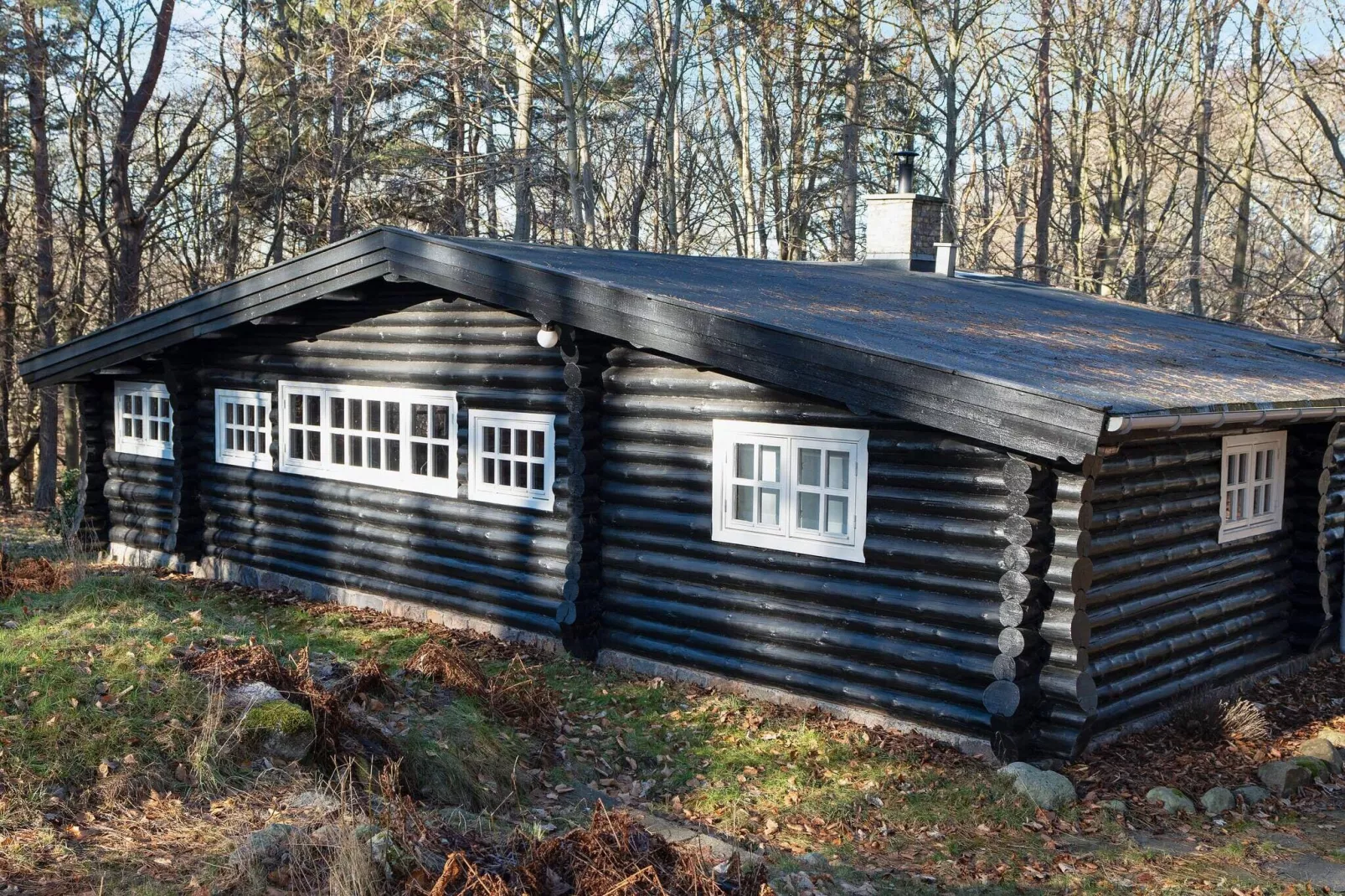 Maison de vacances pour 4 a Frederiksværk-By Traum