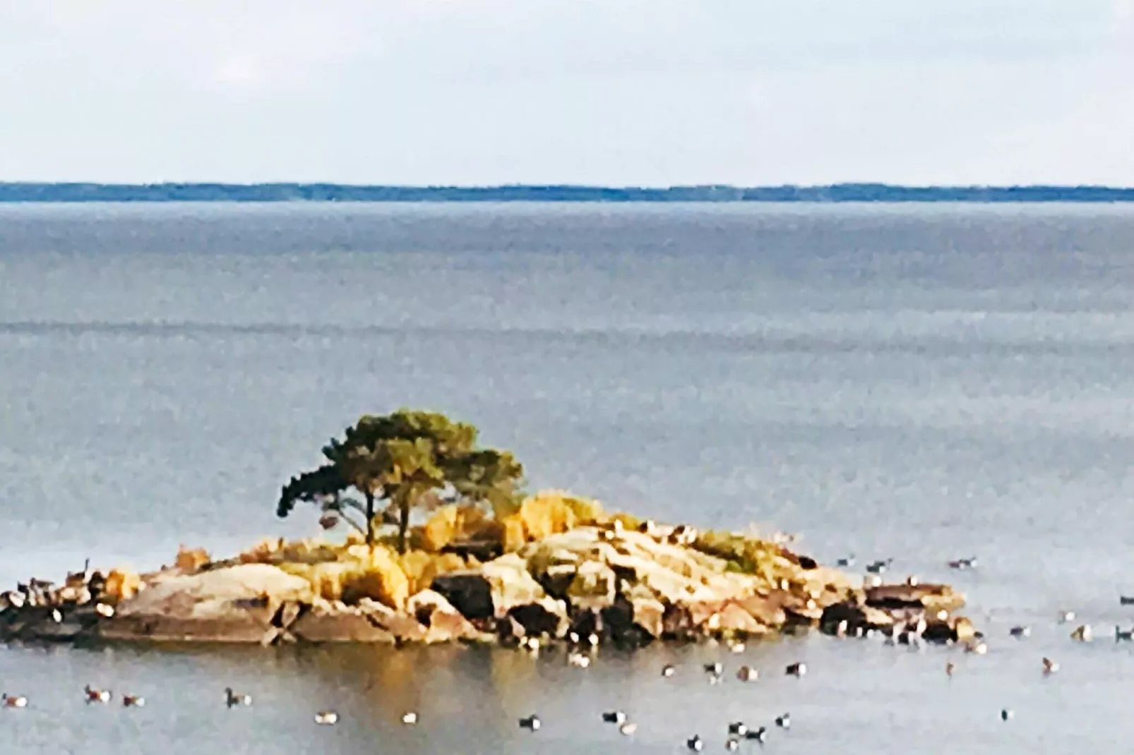 8 person holiday home in BRÅLANDA-By Traum-Not tagged