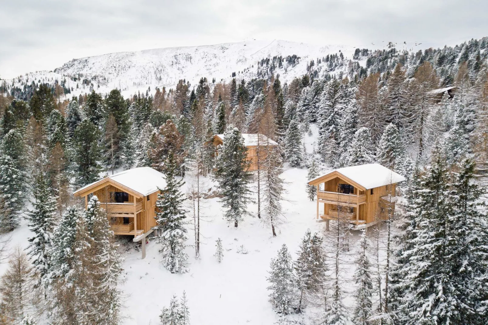 Naturchalets Turracher Höhe 1-Exterior winter
