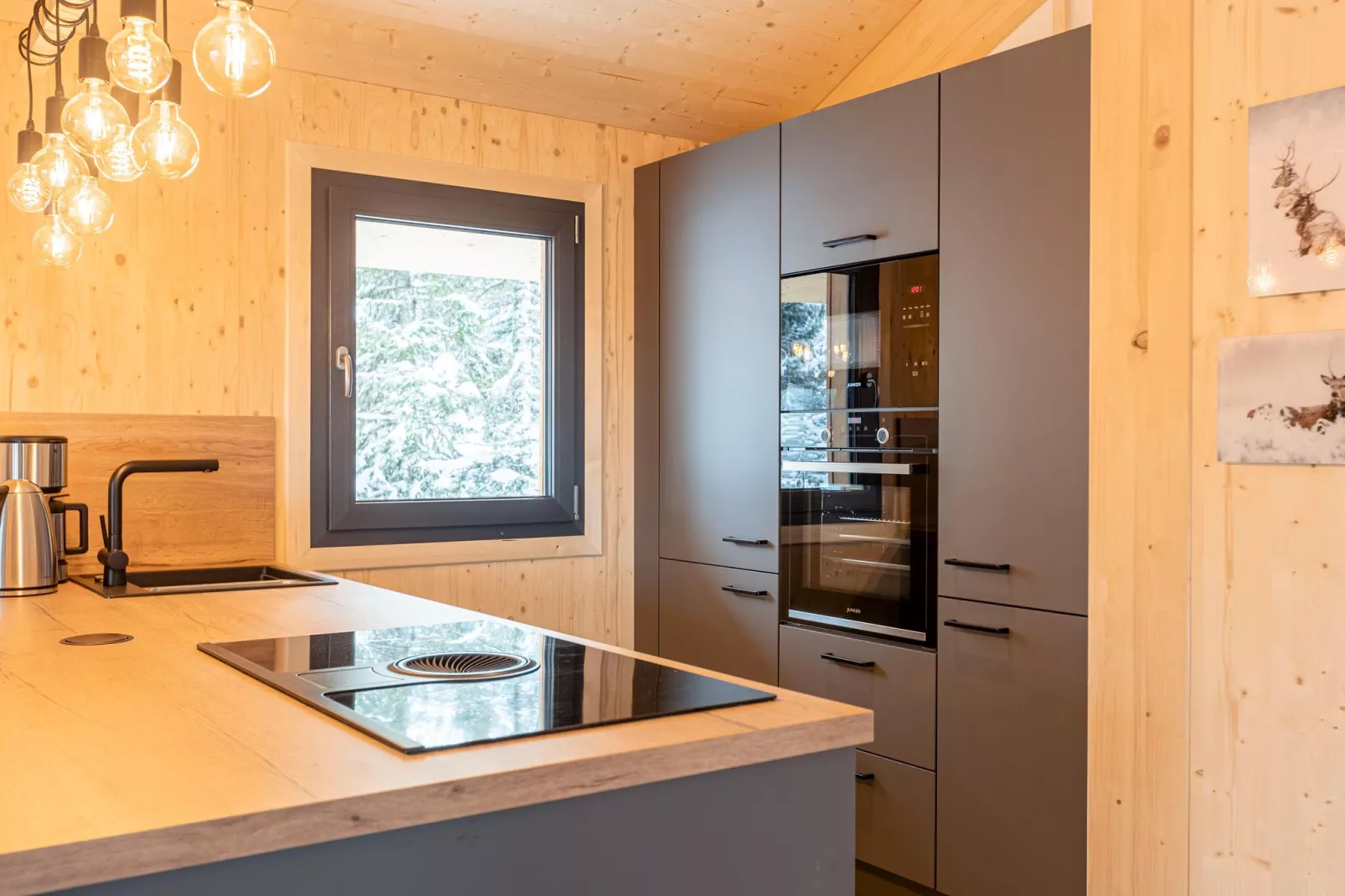 Naturchalets Turracher Höhe 1-Kitchen