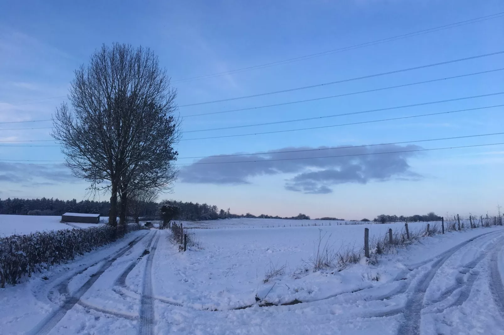 La ferme de Filot-Zone d'hiver à 1 km