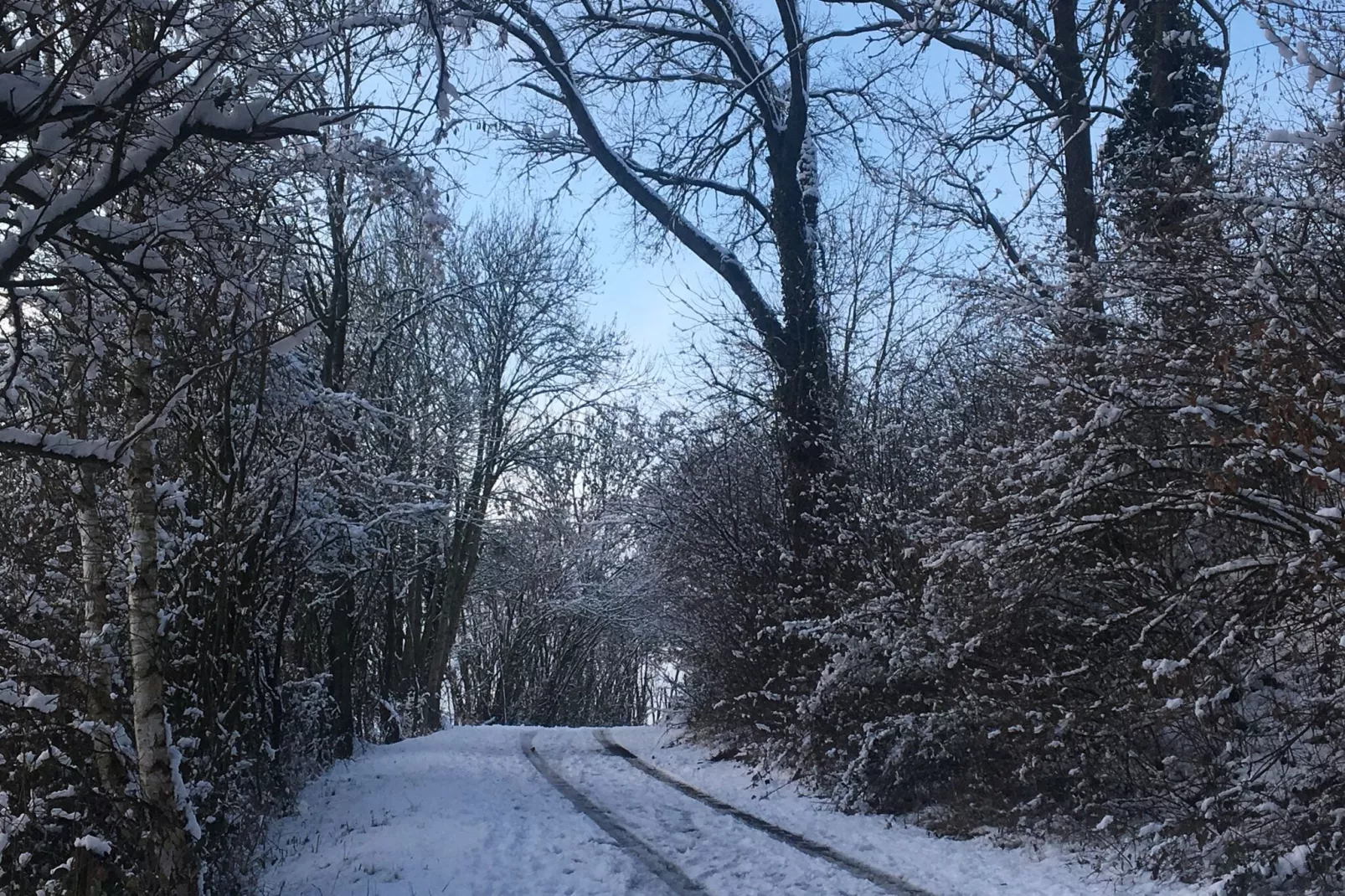 La ferme de Filot-Zone d'hiver à 1 km