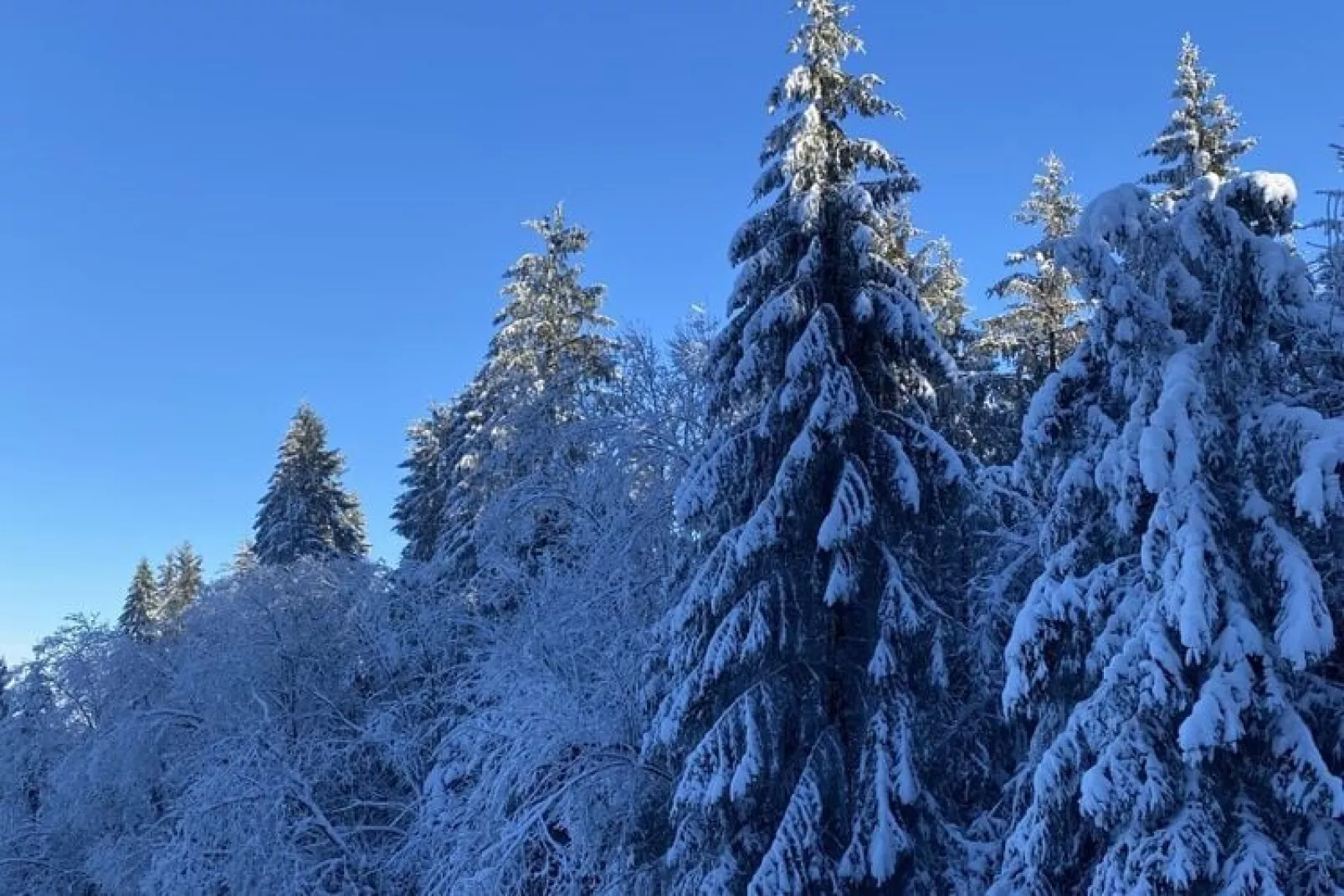 La ferme de Filot-Zone d'hiver à 20 km