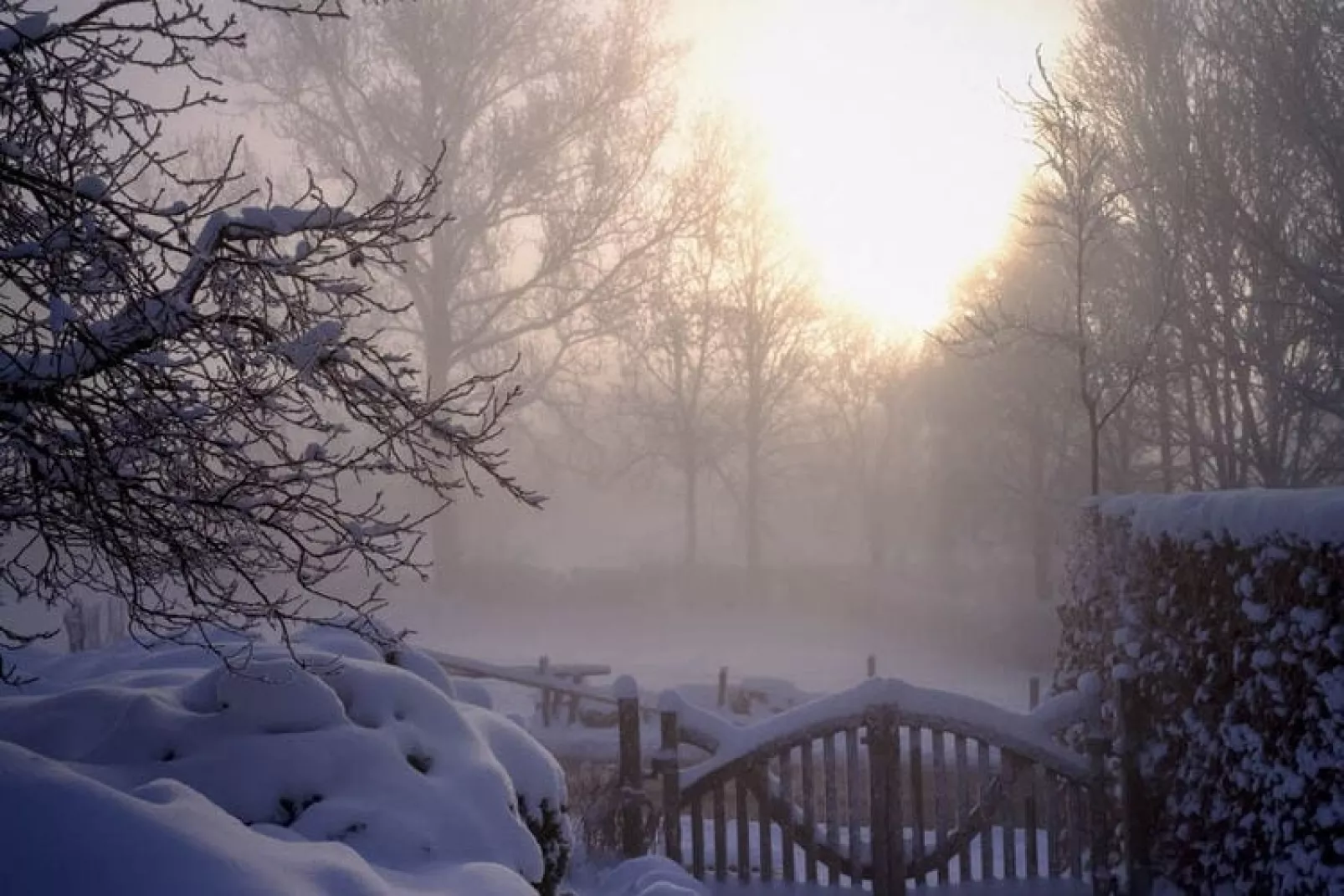 Gastehaus-View winter