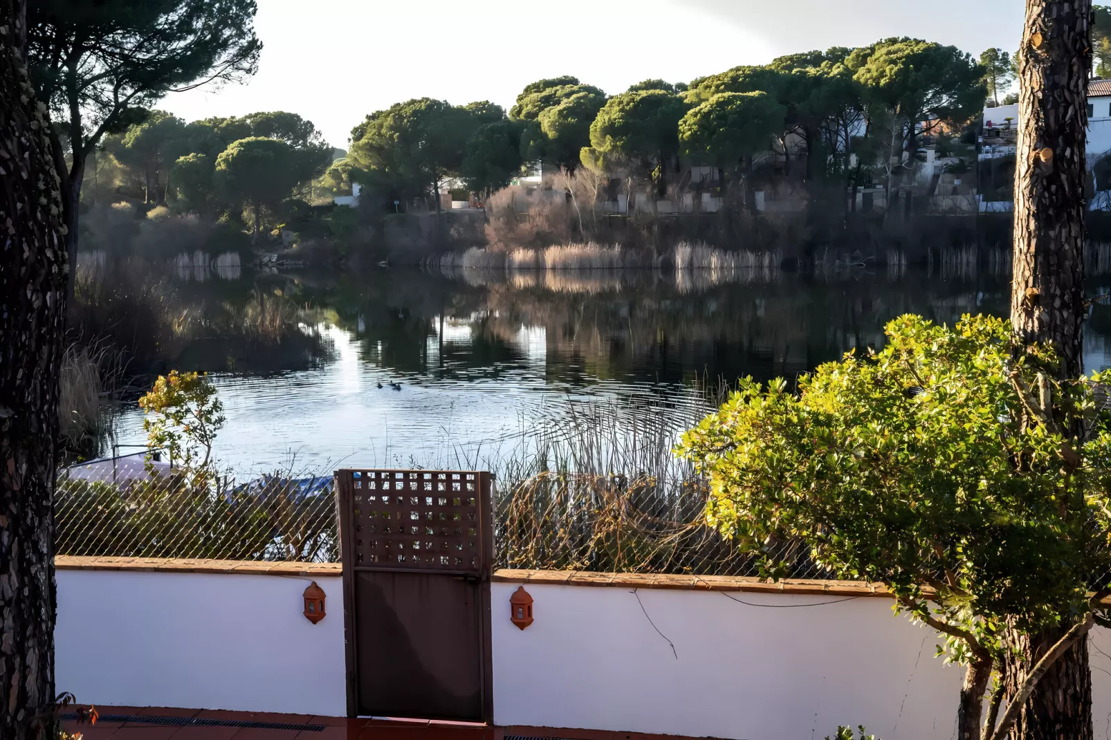 FH in las Jaras - CT 112 6PAX-View summer