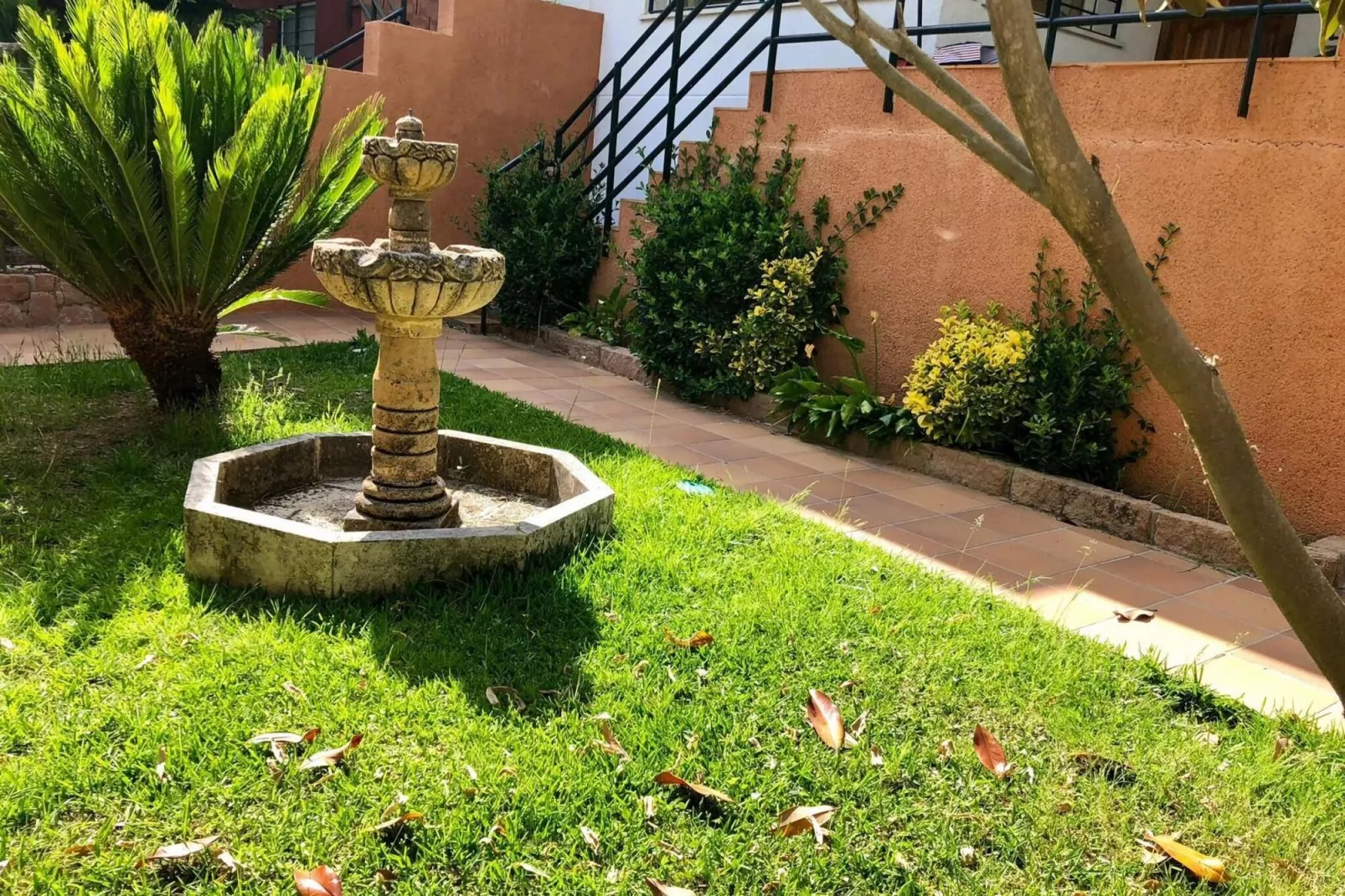 FH in las Jaras - CT 113 CO 5 PAX-Gardens summer