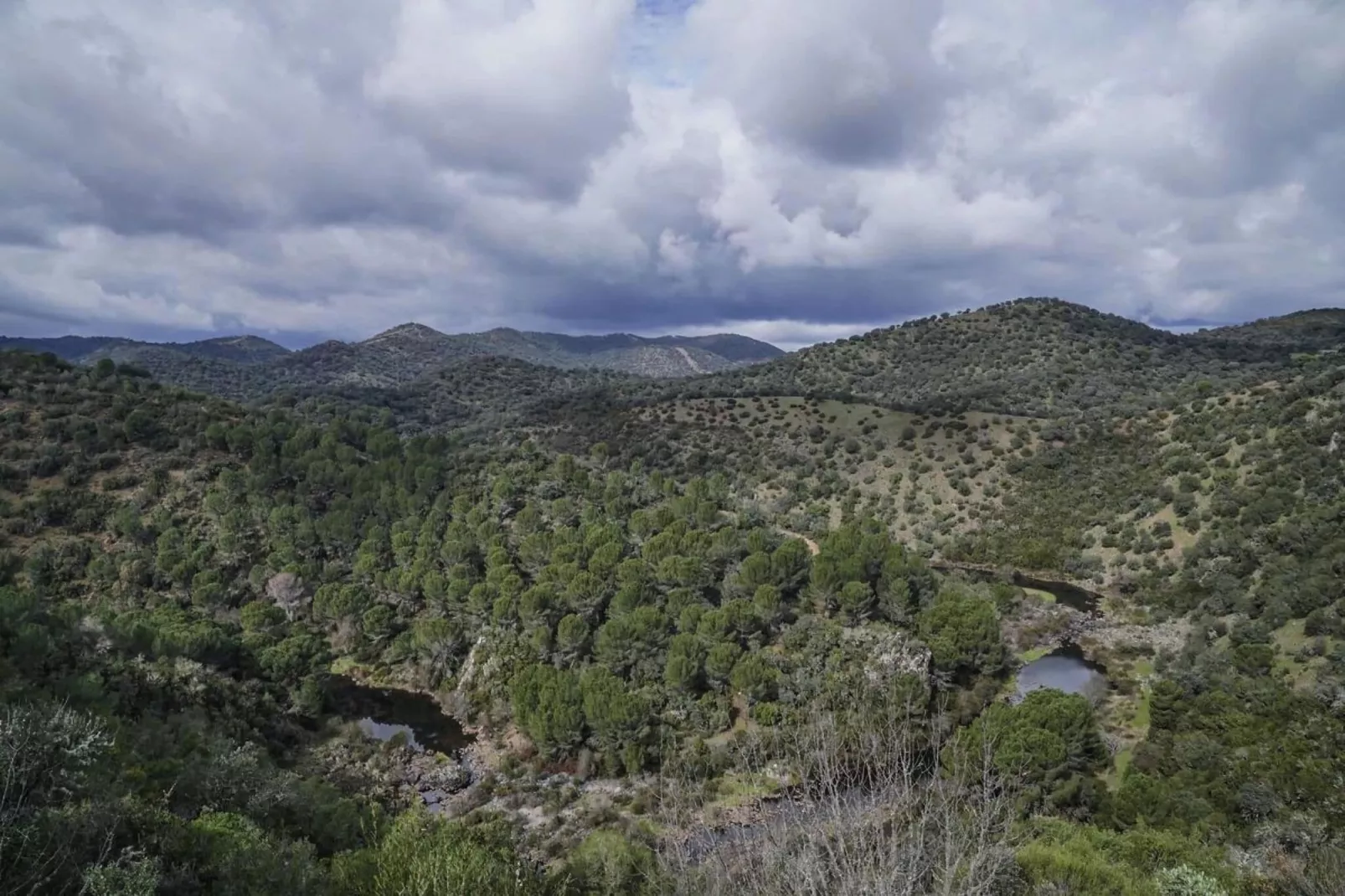 FH in las Jaras - CT 113 CO 5 PAX-Areas summer 5km