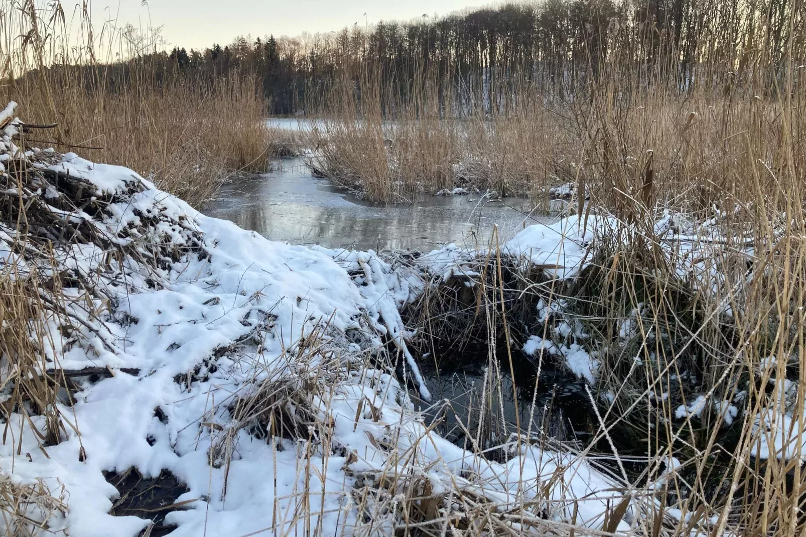 Wohnen im Gutshaus-Area winter 1km