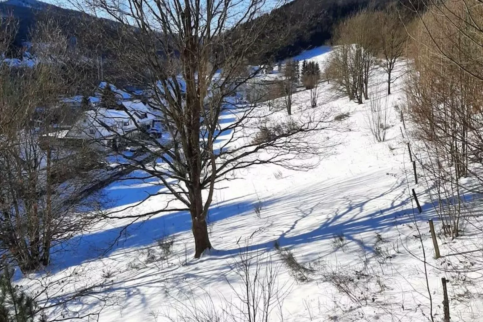 Am Hömberg-Area winter 1km