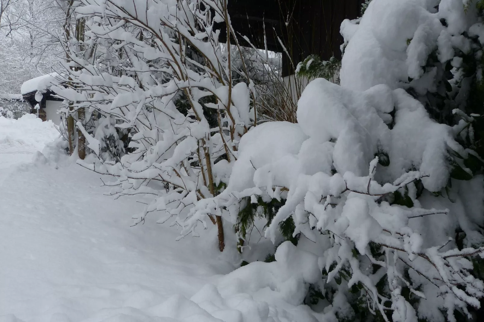 Ferienwohnung Zenting-Garden winter
