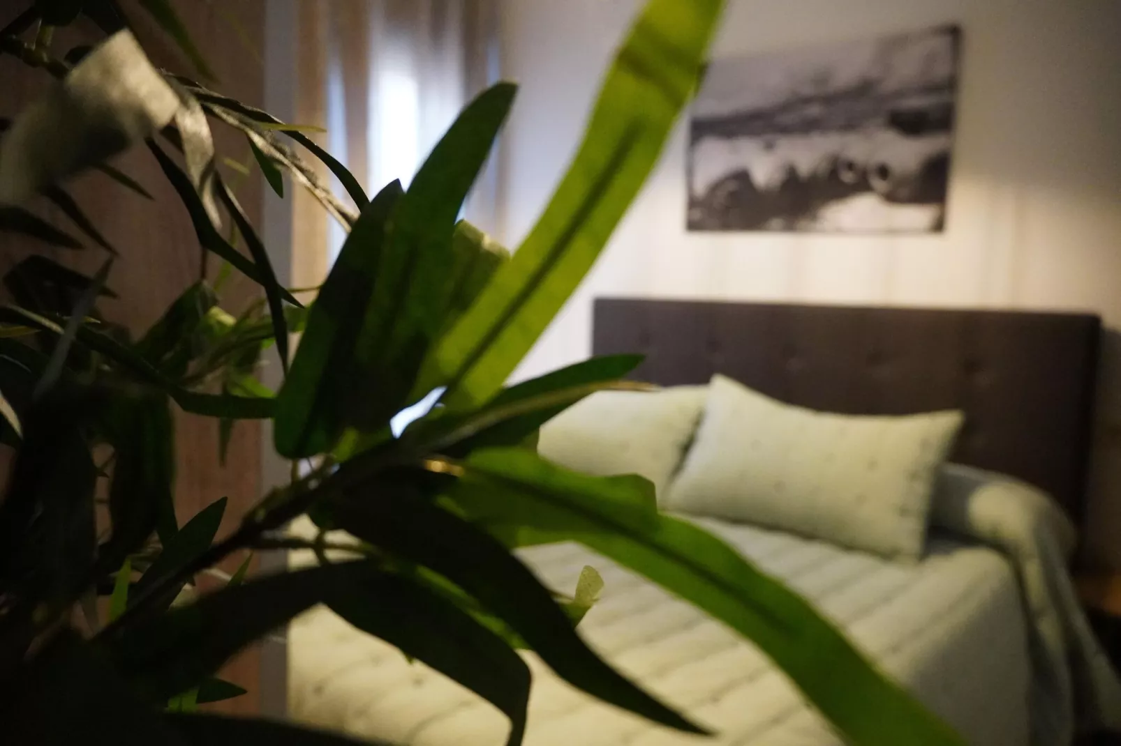 Piso confortable en Montilla-Atmosphere
