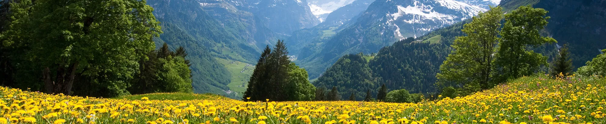 Ferienhäuser in Glarus