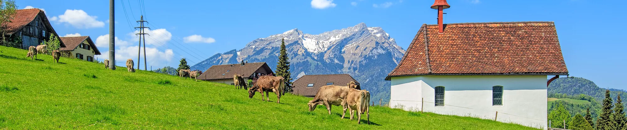 Ferienhäuser in Nidwalden