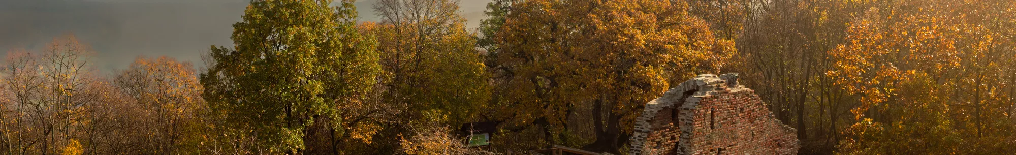 Holiday homes in Siófok
