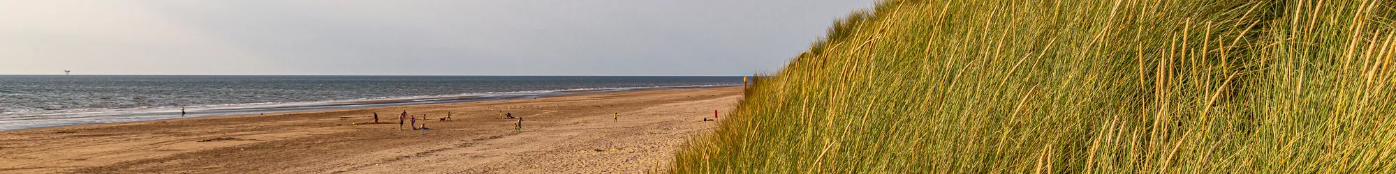 Holiday homes in Halland