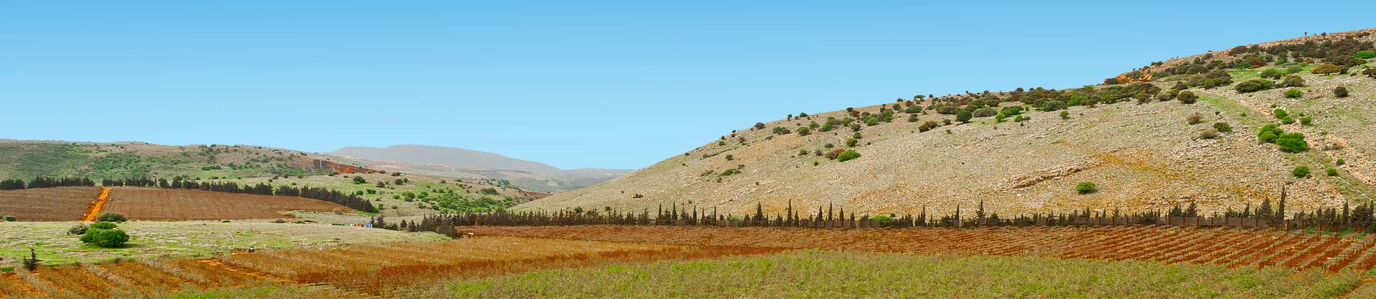 Looking to rent a holiday home, cottage, or villa in Leiria?