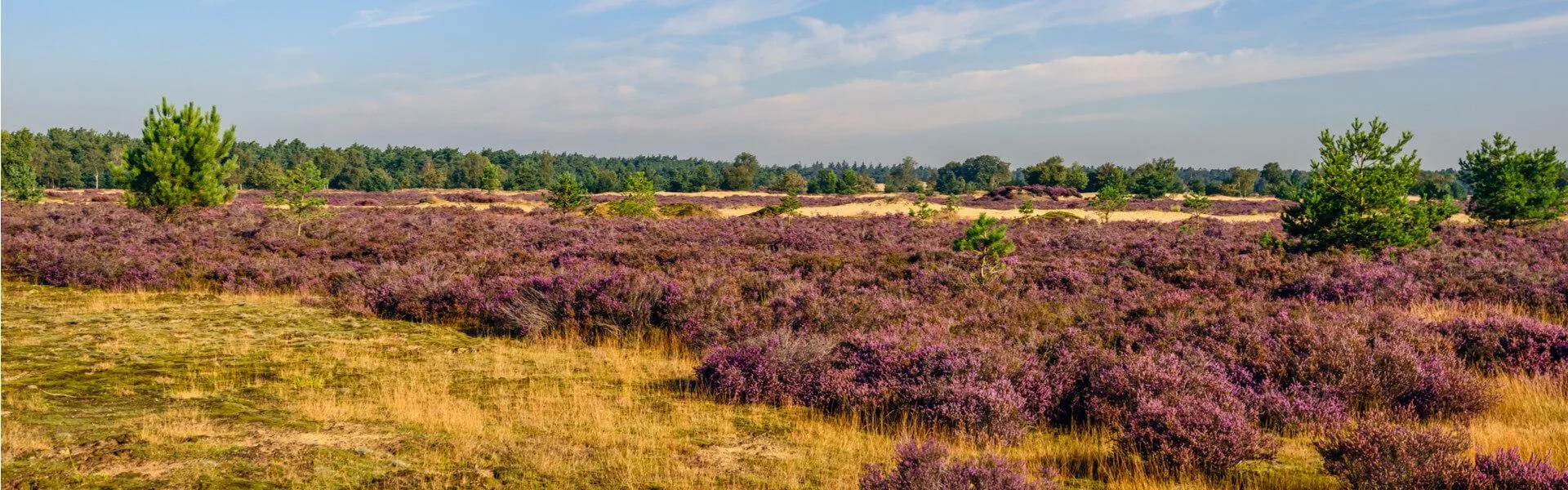 Maisons de vacances en Brabant-Septentrional