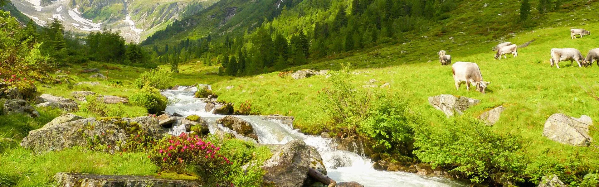Ferienhäuser in Vorarlberg