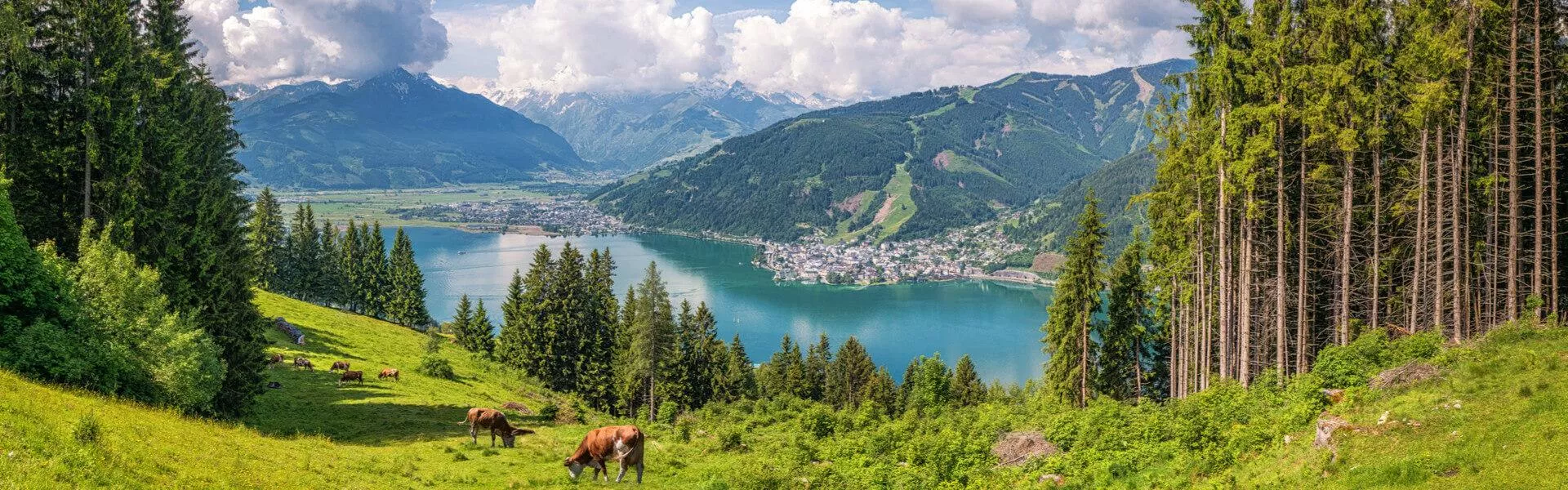 Maisons de vacances à Breitenberg