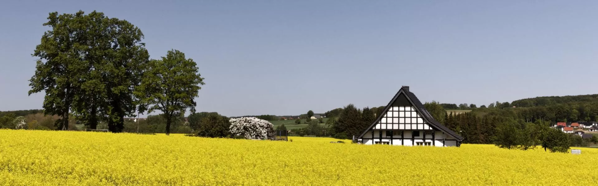 Holiday homes in Braunlage