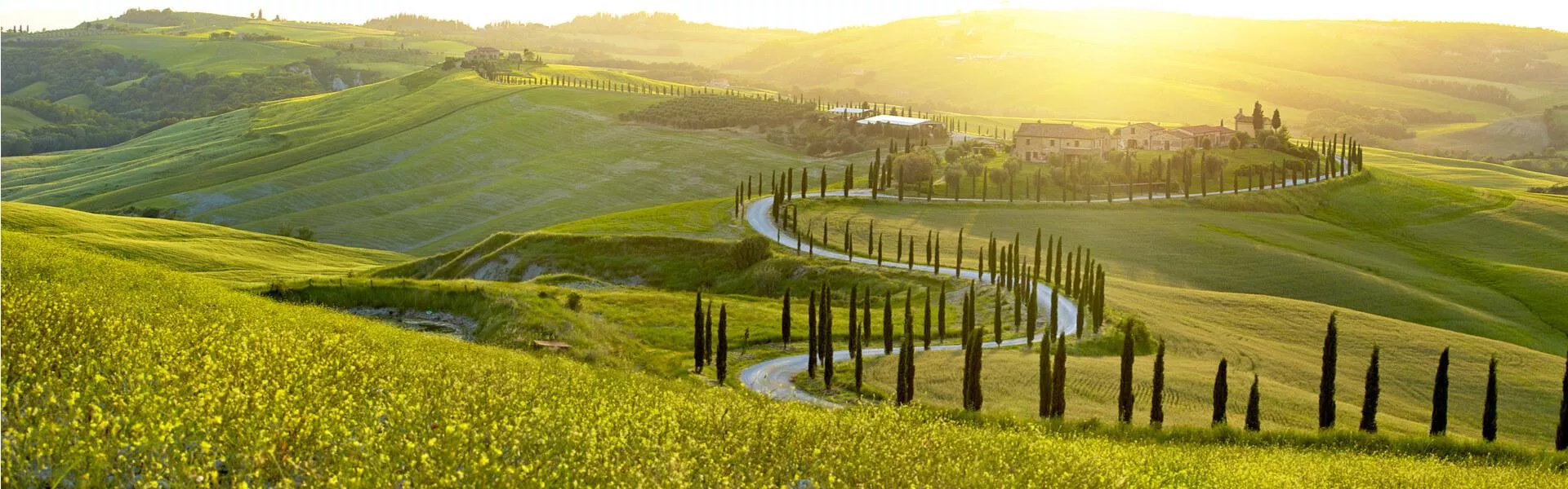 Holiday homes in Tuscany