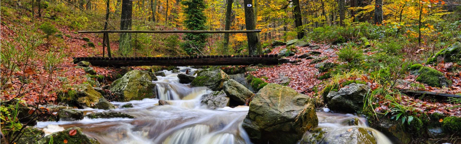 Ferienhäuser in Ardennen