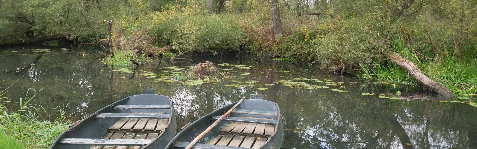 Rechercher une maison de vacances, un logement ou une villa dans la région de Biesbosch