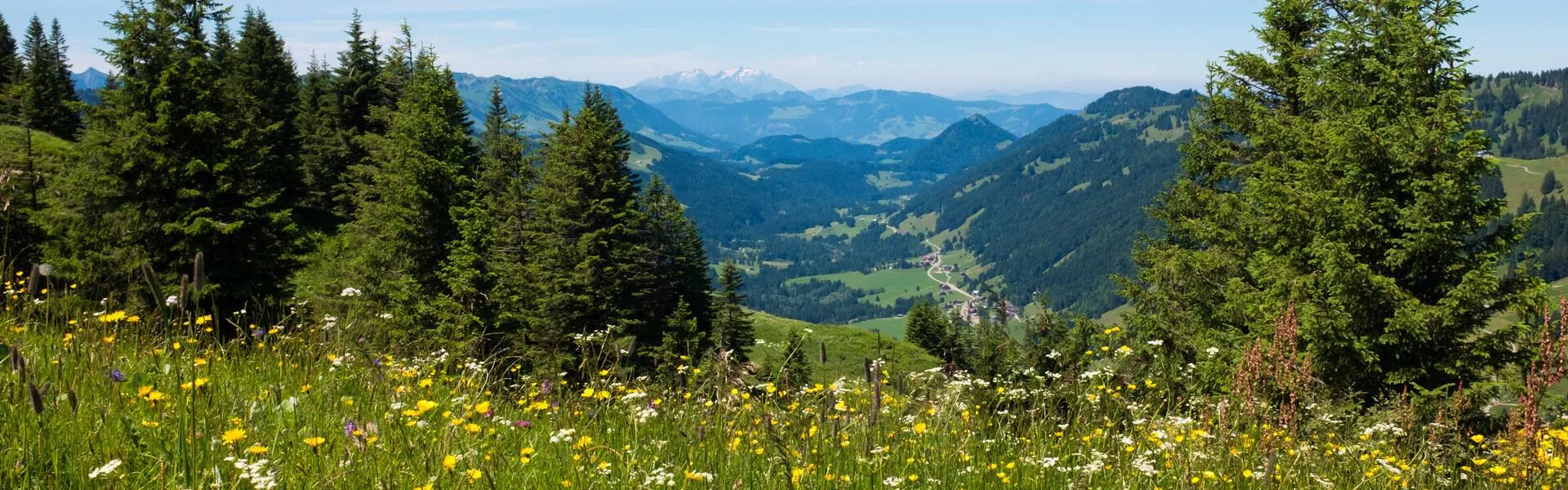 Maisons de vacances Allgäu