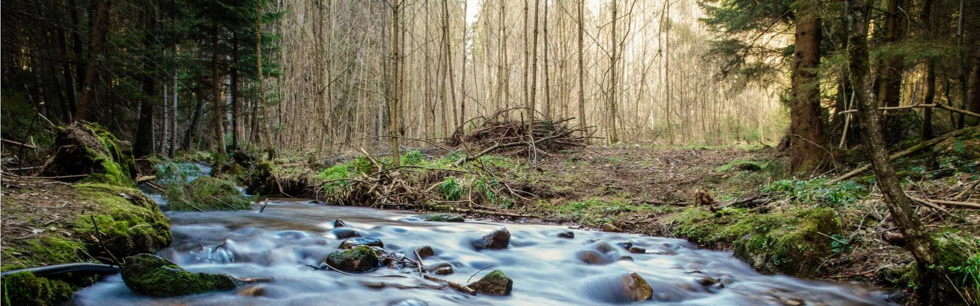 Maisons de vacances Forêt de Bavière