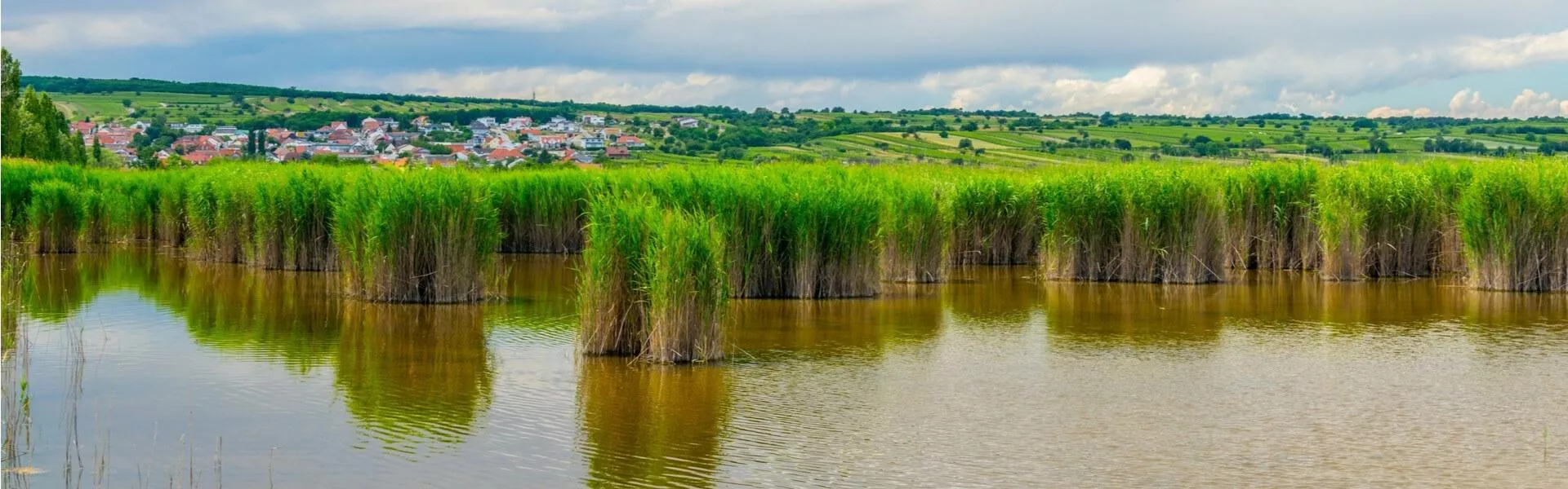 Lac de Neusiedl