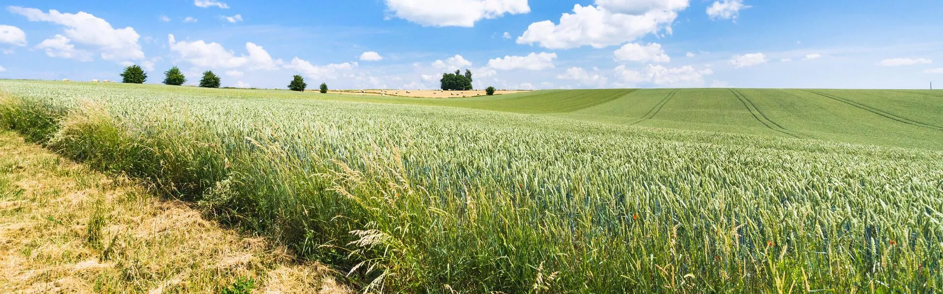 Ferienhäuser in Picardie