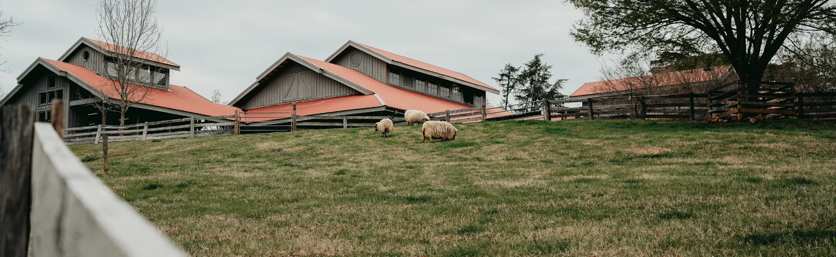 Gîtes à la ferme